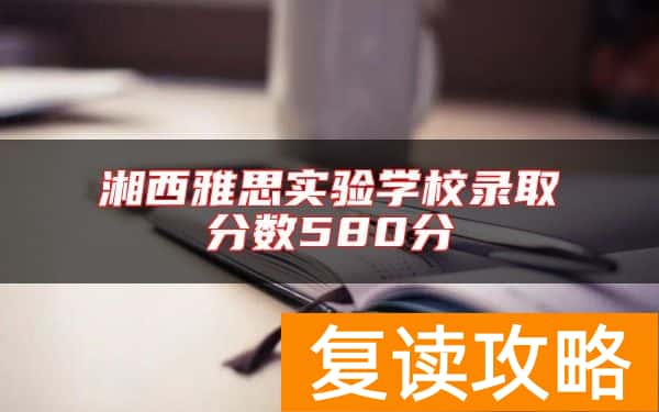 湘西雅思实验学校录取分数580分