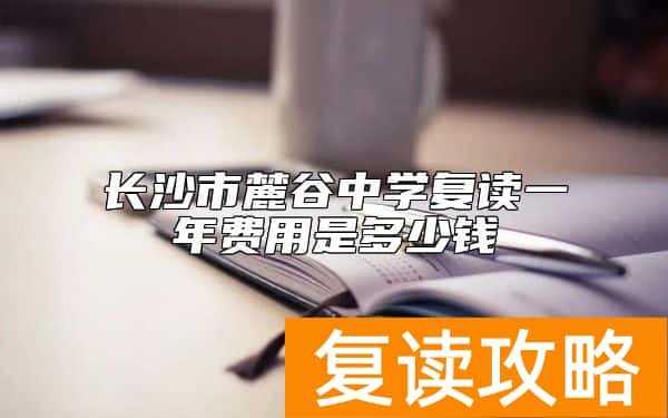 长沙市麓谷中学复读一年费用是多少钱